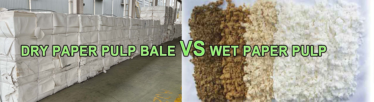 fardo de pulpa de papel seca vs pulpa de papel húmeda
